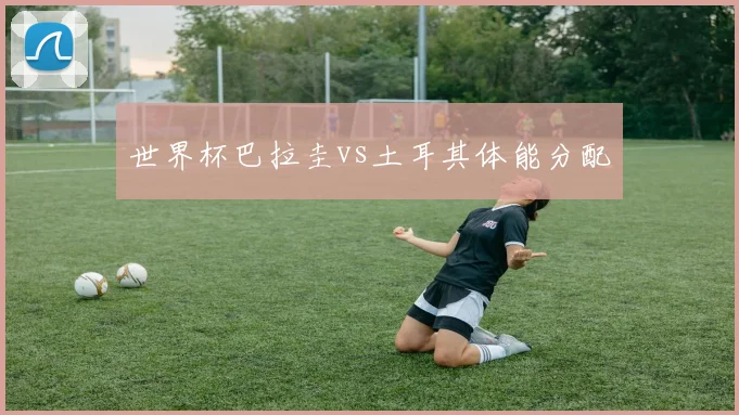 世界杯巴拉圭vs土耳其体能分配