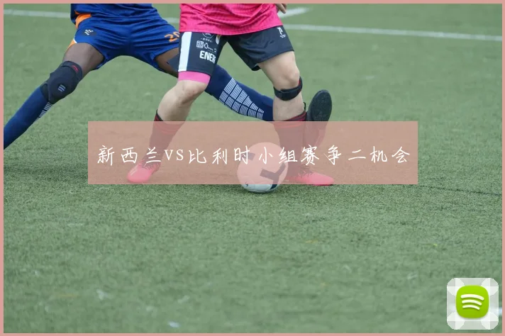 新西兰vs比利时小组赛争二机会