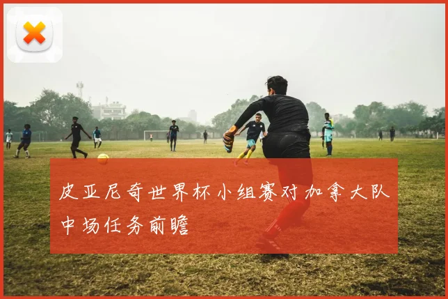 皮亚尼奇世界杯小组赛对加拿大队中场任务前瞻