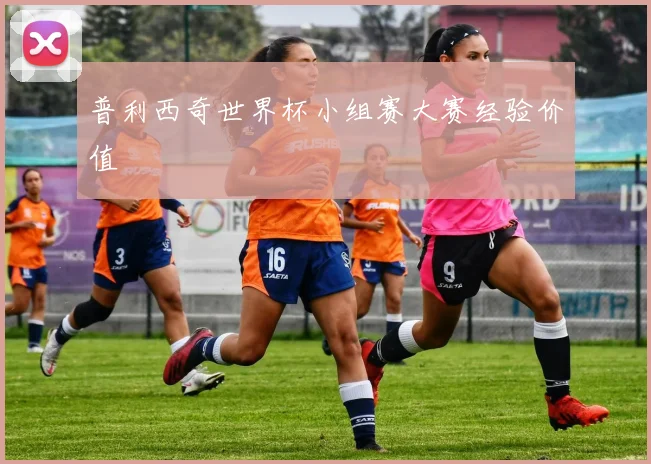 普利西奇世界杯小组赛大赛经验价值