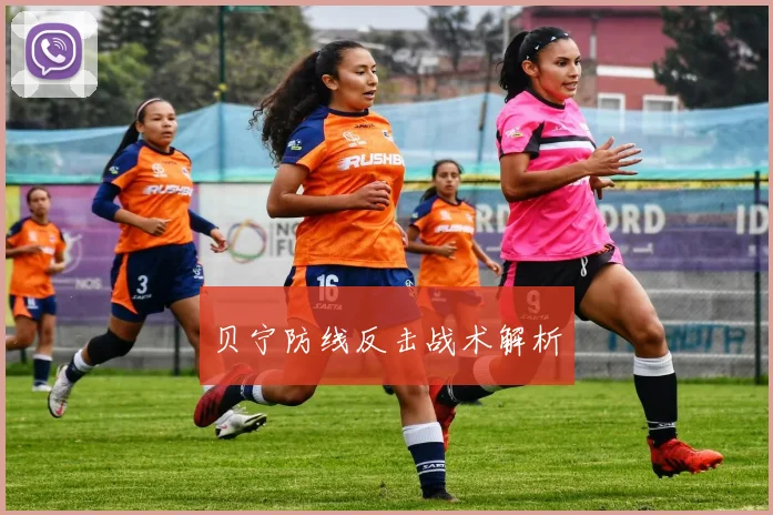 贝宁防线反击战术解析