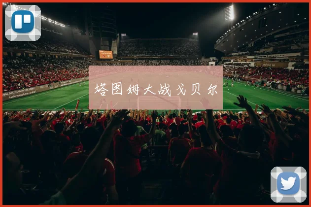 塔图姆大战戈贝尔