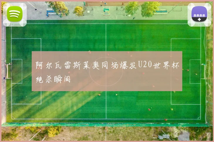 阿尔瓦雷斯莱奥同场爆发U20世界杯绝杀瞬间