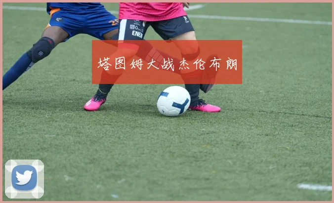 塔图姆大战杰伦布朗