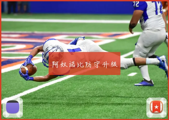 阿奴诺比防守升级