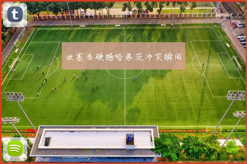坎塞洛硬撼哈弗茨冲突瞬间
