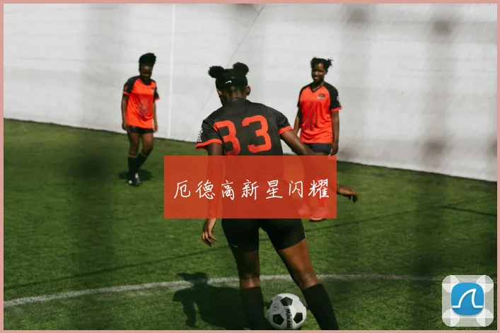 厄德高新星闪耀