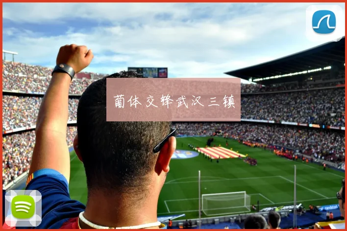 葡体交锋武汉三镇