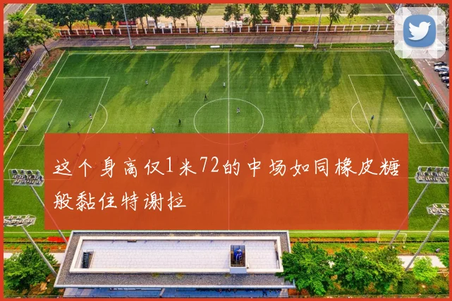 这个身高仅1米72的中场如同橡皮糖般黏住特谢拉