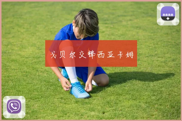 戈贝尔交锋西亚卡姆