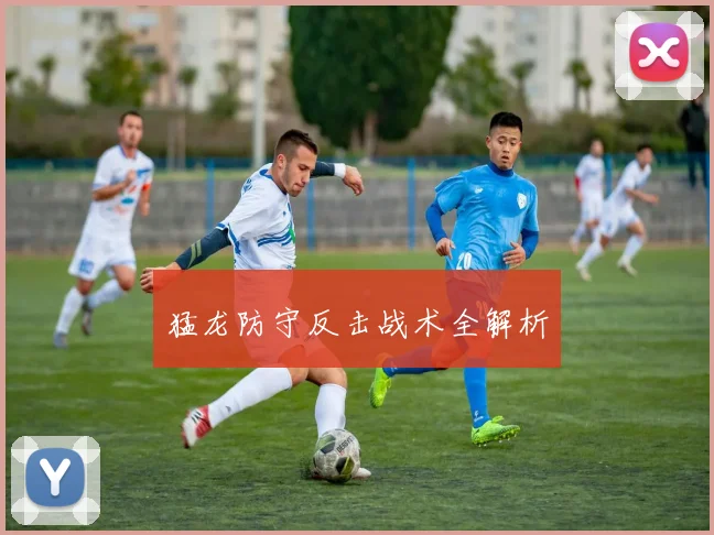 猛龙防守反击战术全解析
