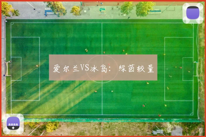 爱尔兰VS冰岛：绿茵较量