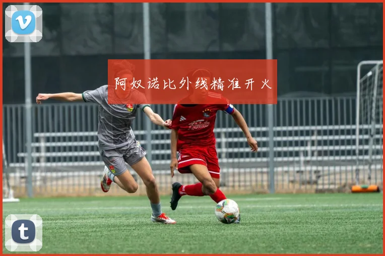 阿奴诺比外线精准开火