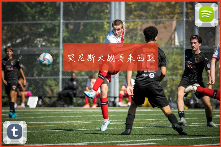 突尼斯大战马来西亚