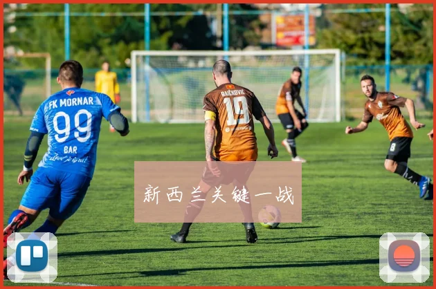新西兰关键一战