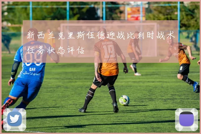 新西兰克里斯伍德迎战比利时战术任务状态评估
