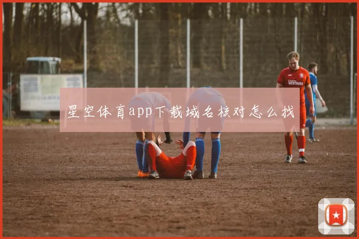 星空体育app下载域名核对怎么找