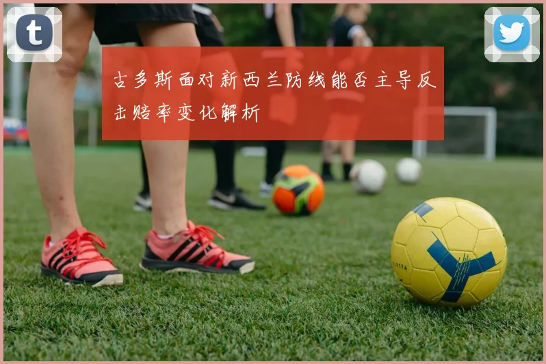 古多斯面对新西兰防线能否主导反击赔率变化解析