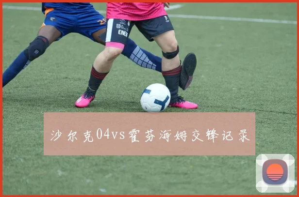 沙尔克04vs霍芬海姆交锋记录